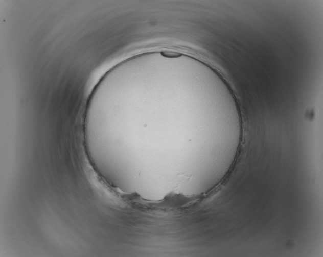 X0000111521530200908111150