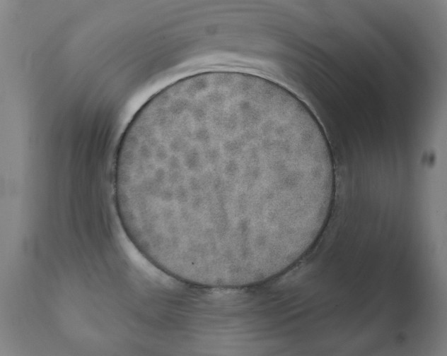 X0000111521531200908111150