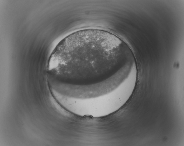X0000111521532200908111150