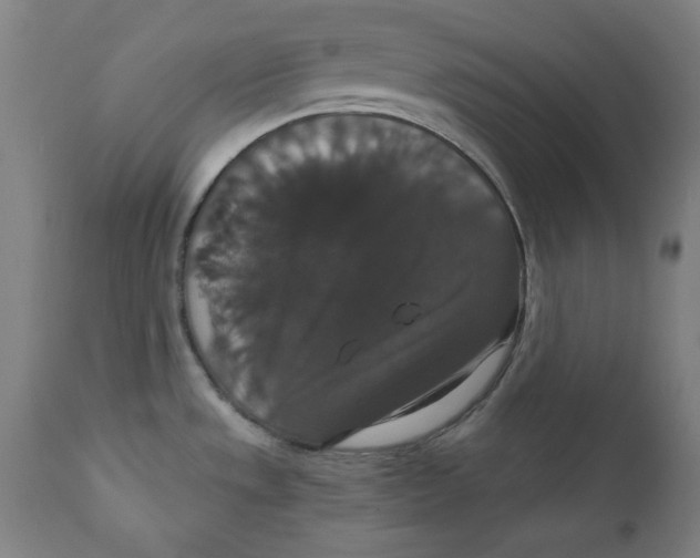 X0000111521533200908111150