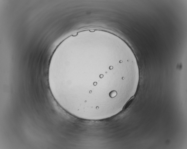 X0000111521534200908111150