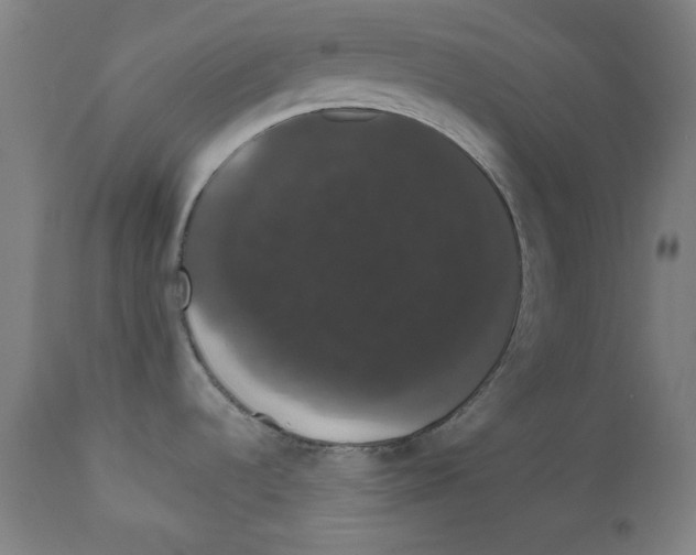 X0000111521536200908111151