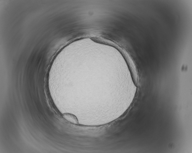 X0000111520001200908251149