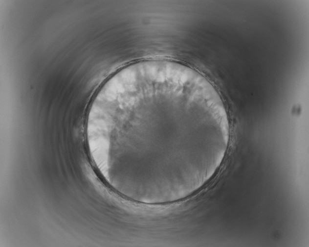 X0000111520002200908251149