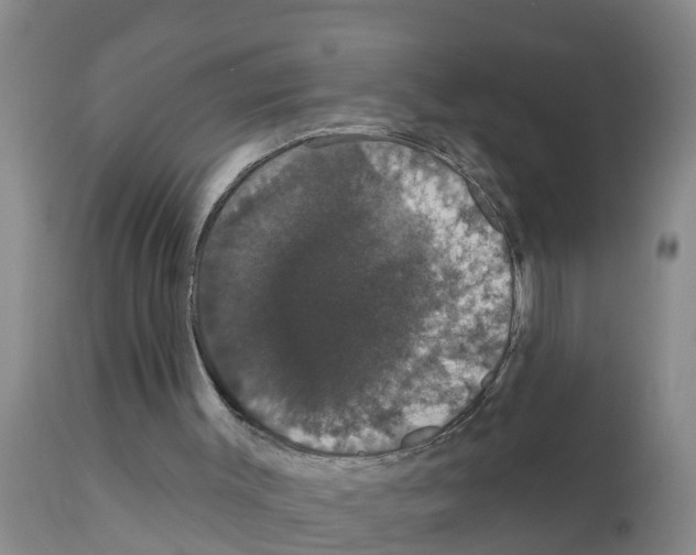 X0000111520003200908251149