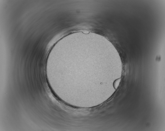 X0000111520004200908251149