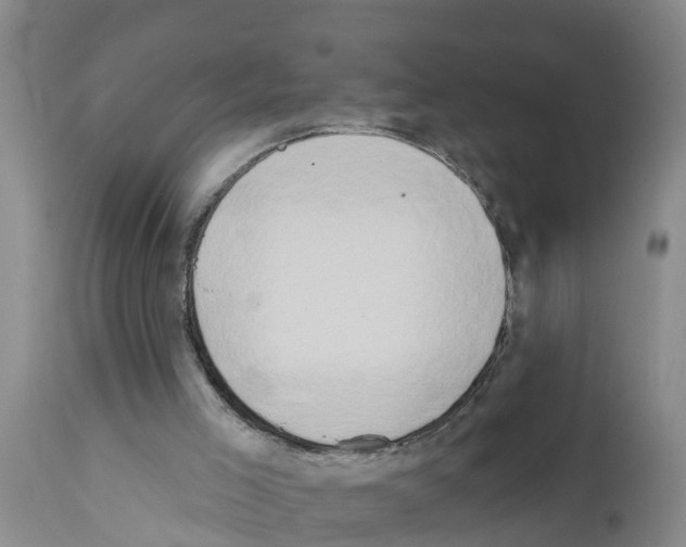 X0000111520005200908251149