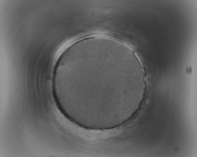 X0000111520007200908251149