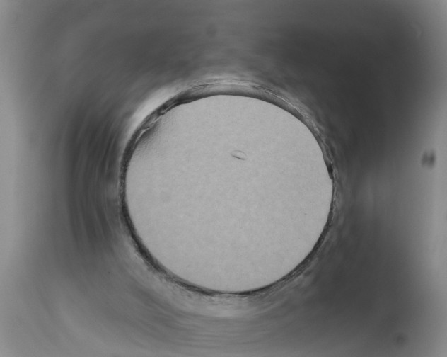 X0000111520008200908251149