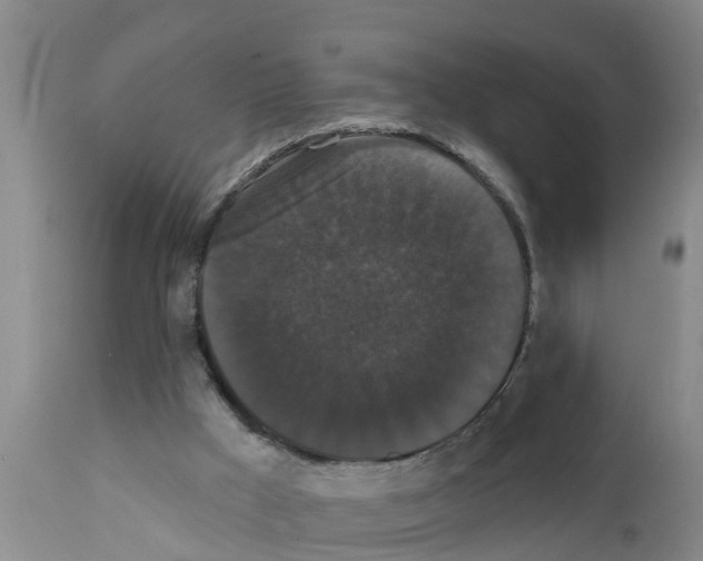 X0000111520009200908251149