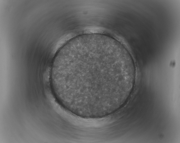 X0000111520010200908251149