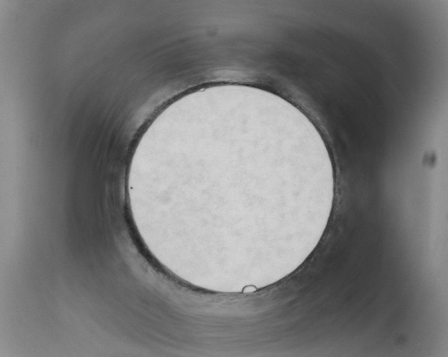 X0000111520011200908251149