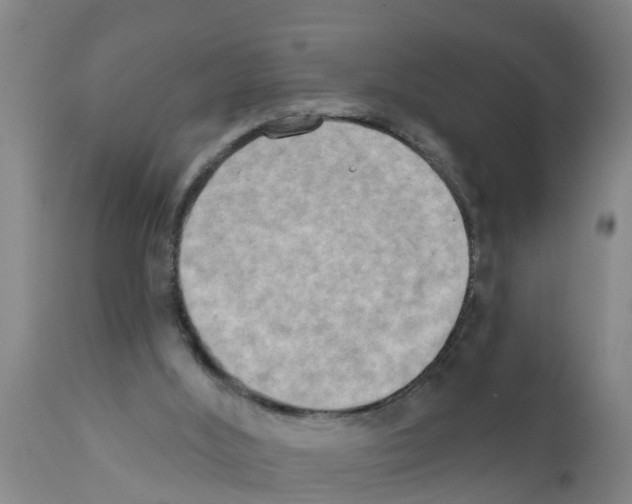 X0000111520012200908251149