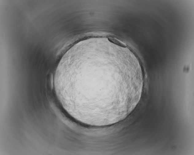 X0000111520013200908251149