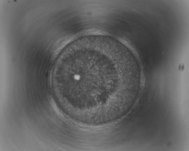 X0000111520014200908251149