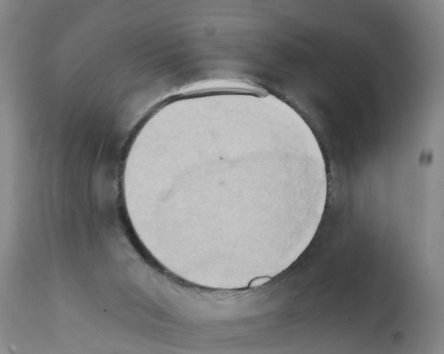 X0000111520015200908251149