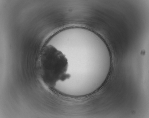 X0000111520016200908251149