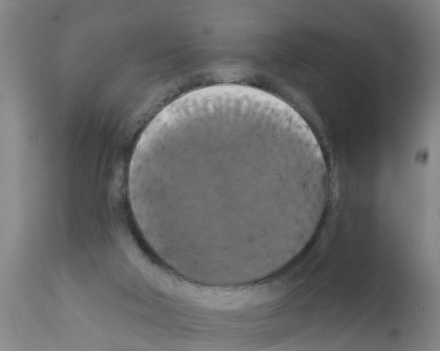 X0000111520018200908251149