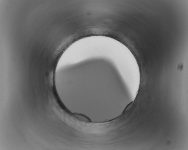 X0000111520019200908251149