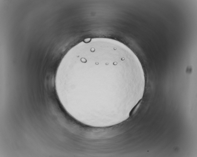 X0000111520021200908251149