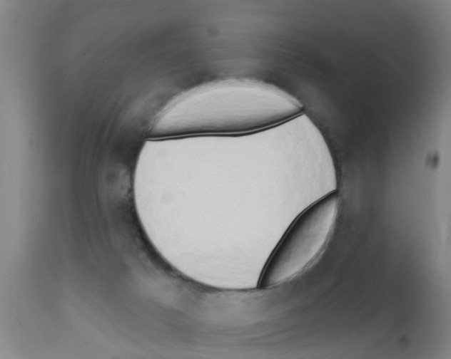 X0000111520025200908251149