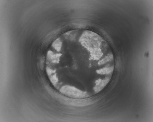 X0000111520026200908251149