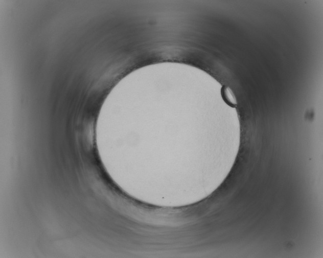 X0000111520028200908251149