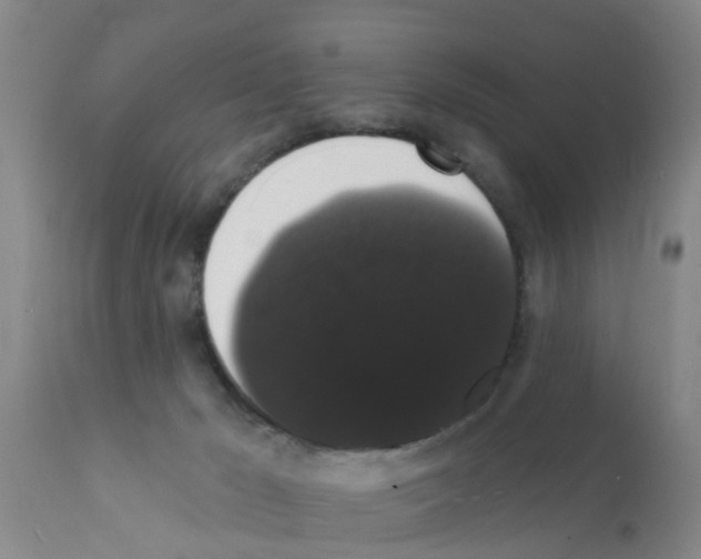 X0000111520029200908251149