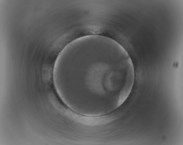 X0000111520030200908251149