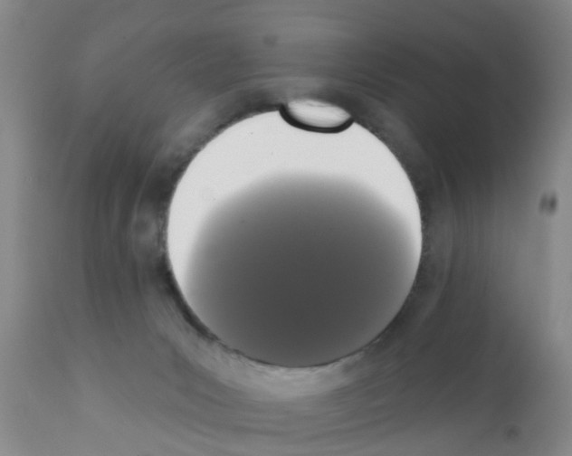 X0000111520031200908251149