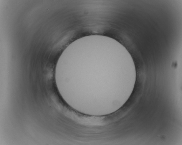 X0000111520032200908251149