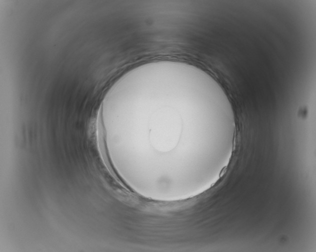 X0000111520033200908251149
