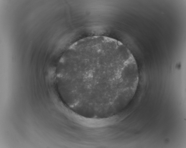 X0000111520034200908251149