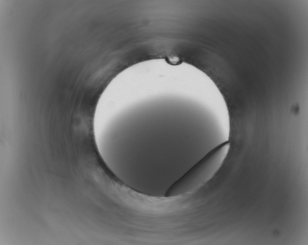 X0000111520035200908251149