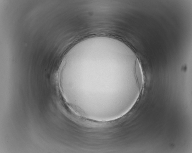 X0000111520036200908251149
