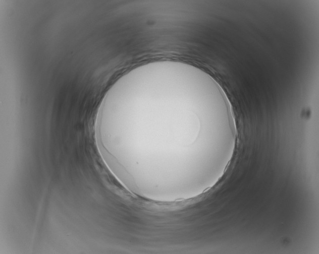 X0000111520037200908251148