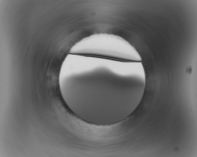 X0000111520039200908251148