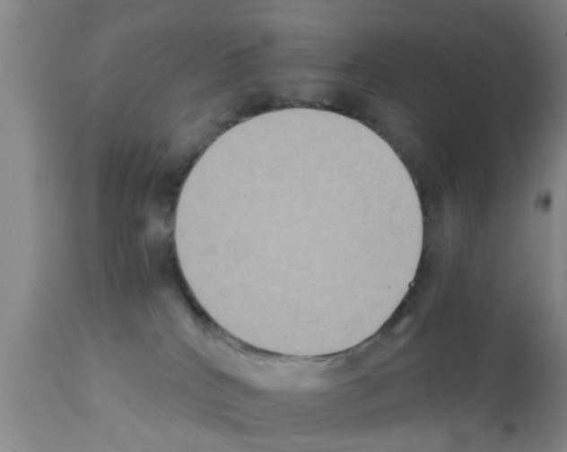 X0000111520040200908251148
