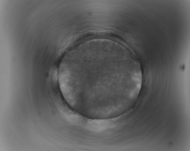 X0000111520041200908251148