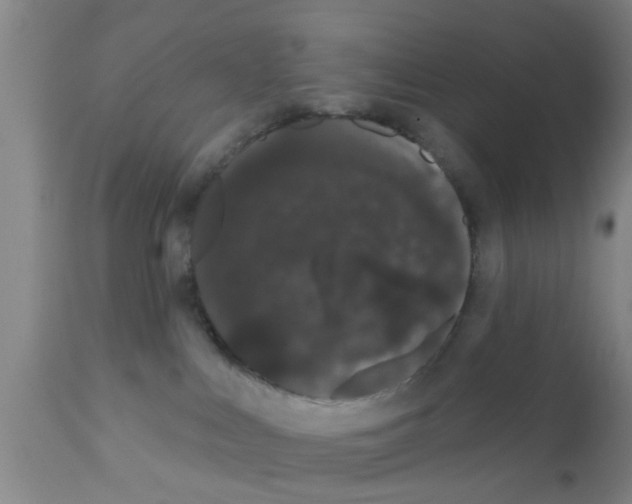 X0000111520043200908251148