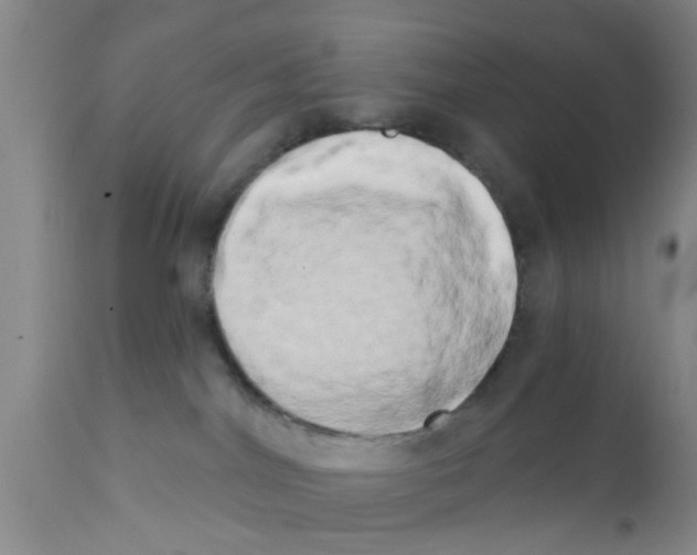 X0000111520044200908251148