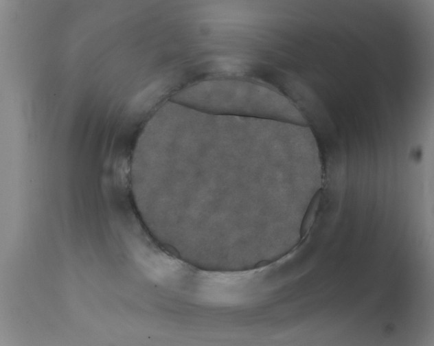 X0000111520045200908251148