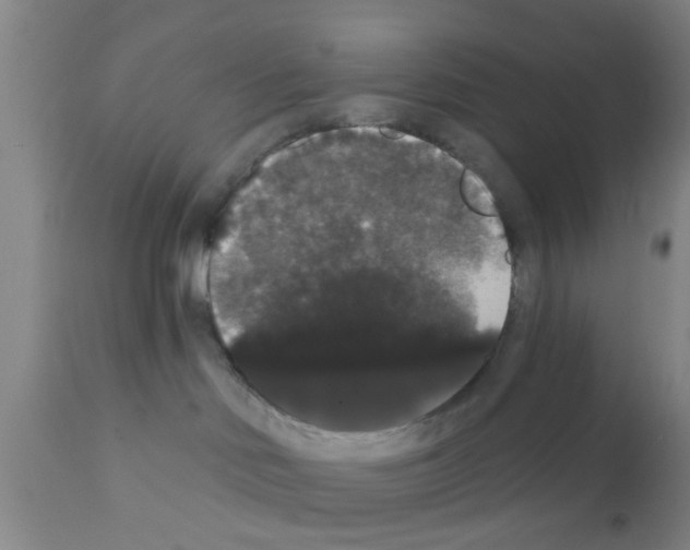 X0000111520046200908251148