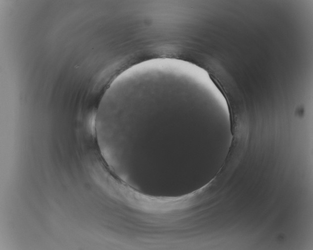 X0000111520047200908251148