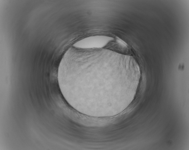 X0000111520048200908251148