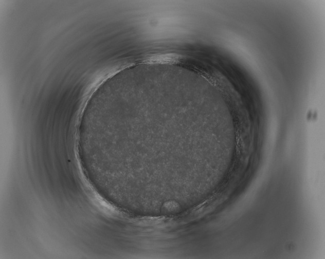 X0000111520049200908251148