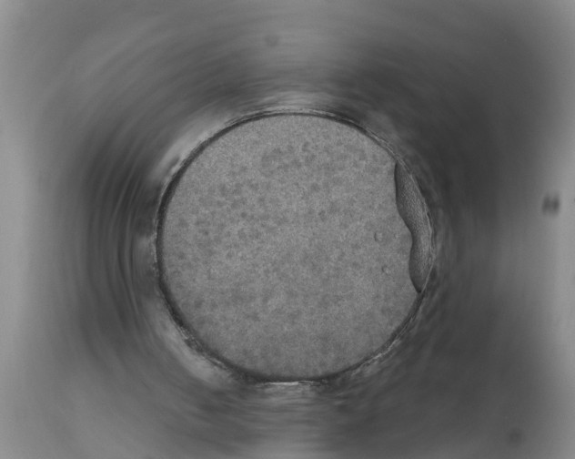 X0000111520050200908251148
