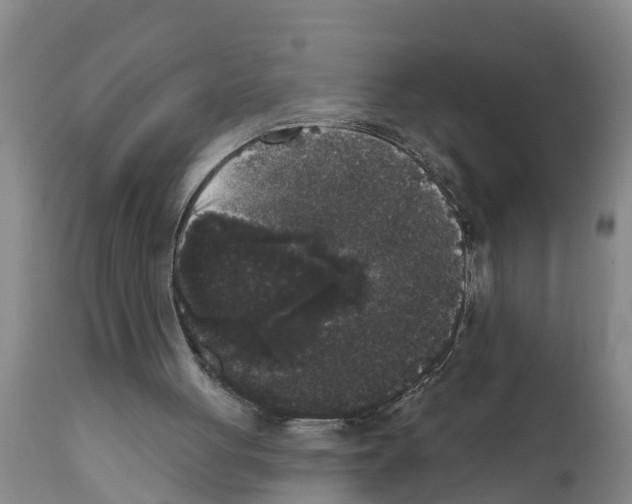 X0000111520051200908251148