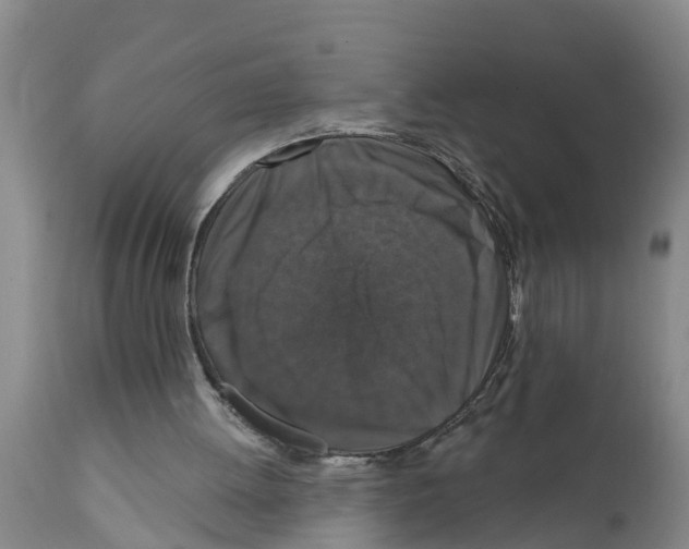 X0000111520052200908251148