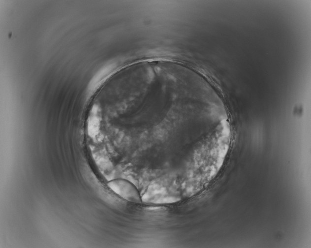 X0000111520053200908251148